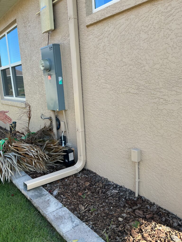 Side yard with overgrown debris and dead palm fronds before landscape cleanup in Ocala FL