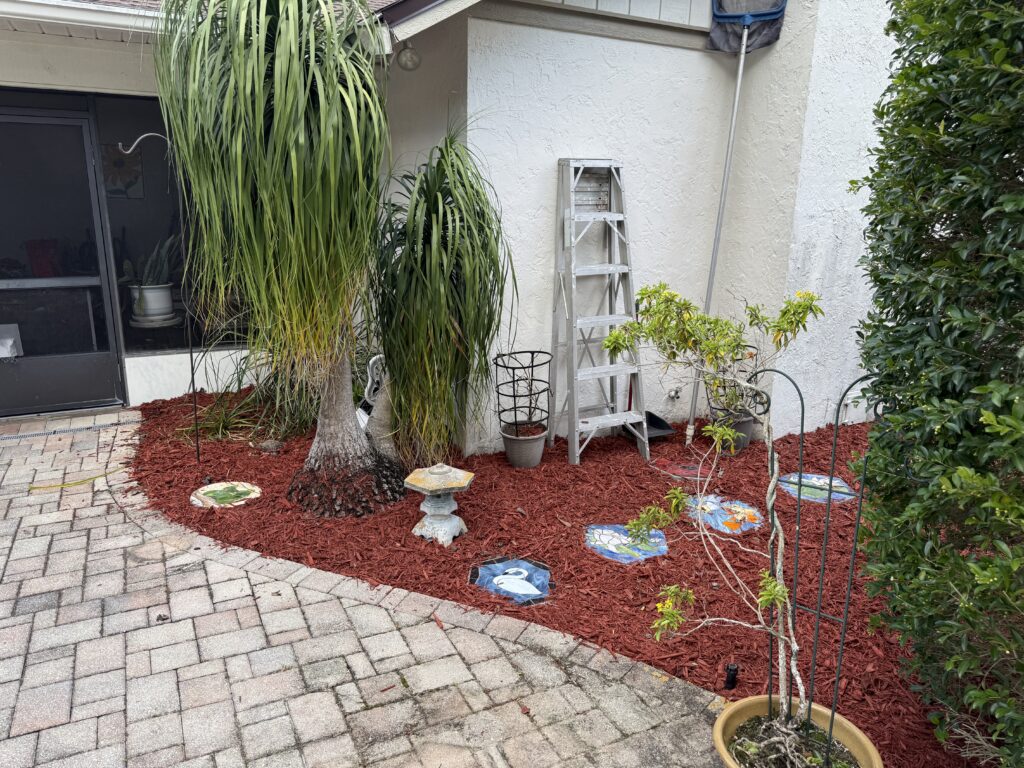 Paver patio corner with ponytail palm, potted plants, and red mulch accent in Ocala FL