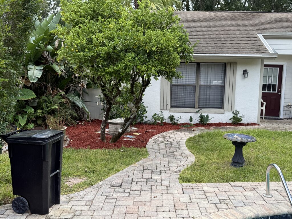 Front-yard paver walkway with red mulch tree ring bed at an Ocala FL home