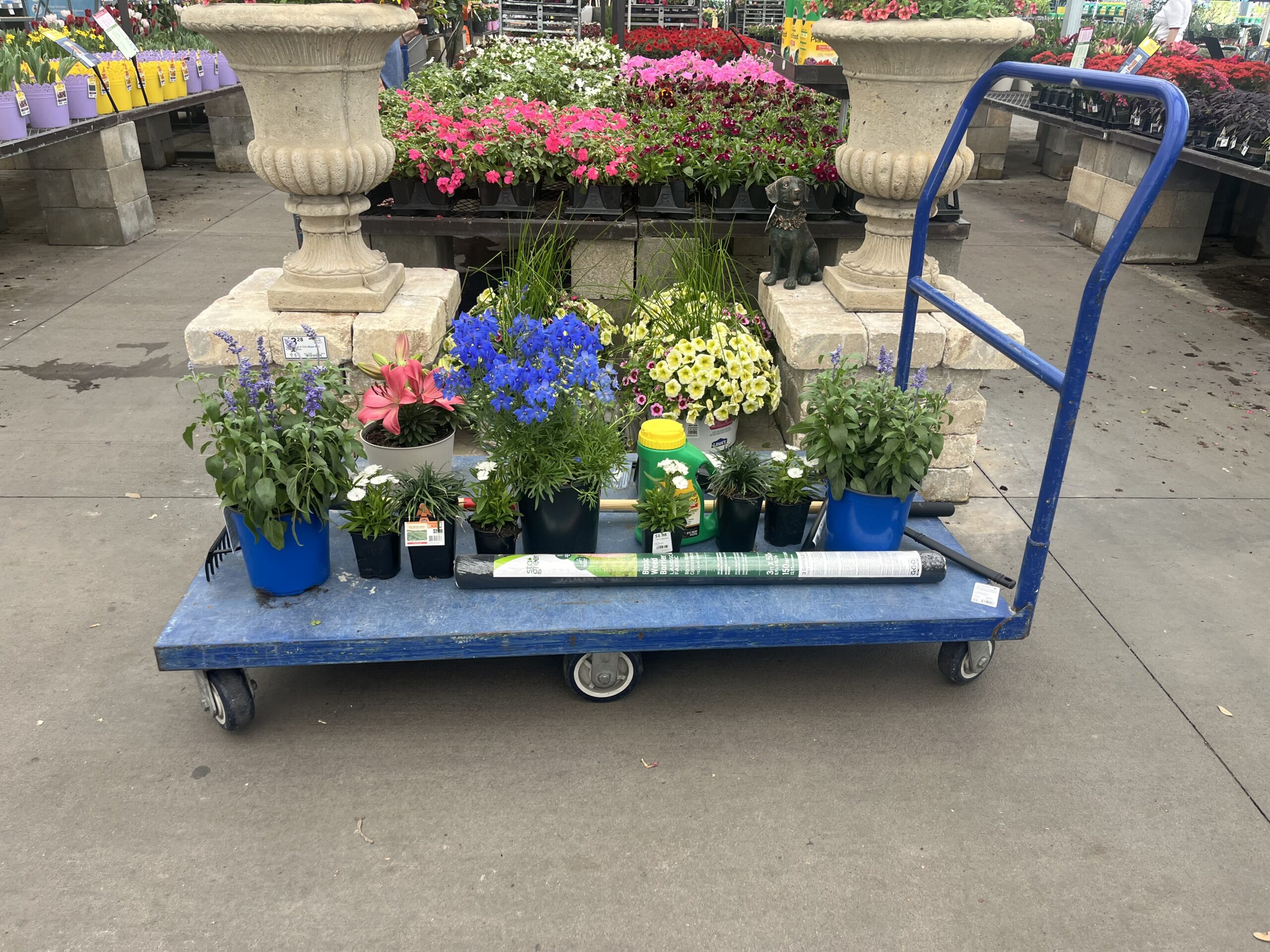 Nursery cart loaded with potted perennials and annuals for a D&T install in Ocala FL