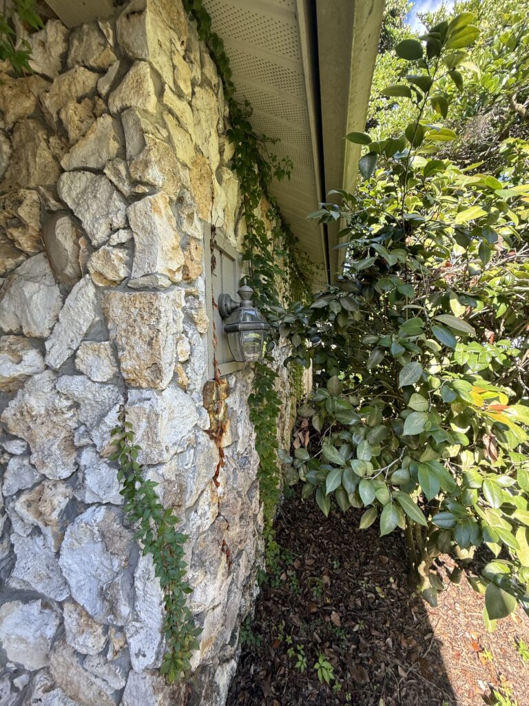 Stacked stone accent wall with climbing vine at Ocala FL home entry