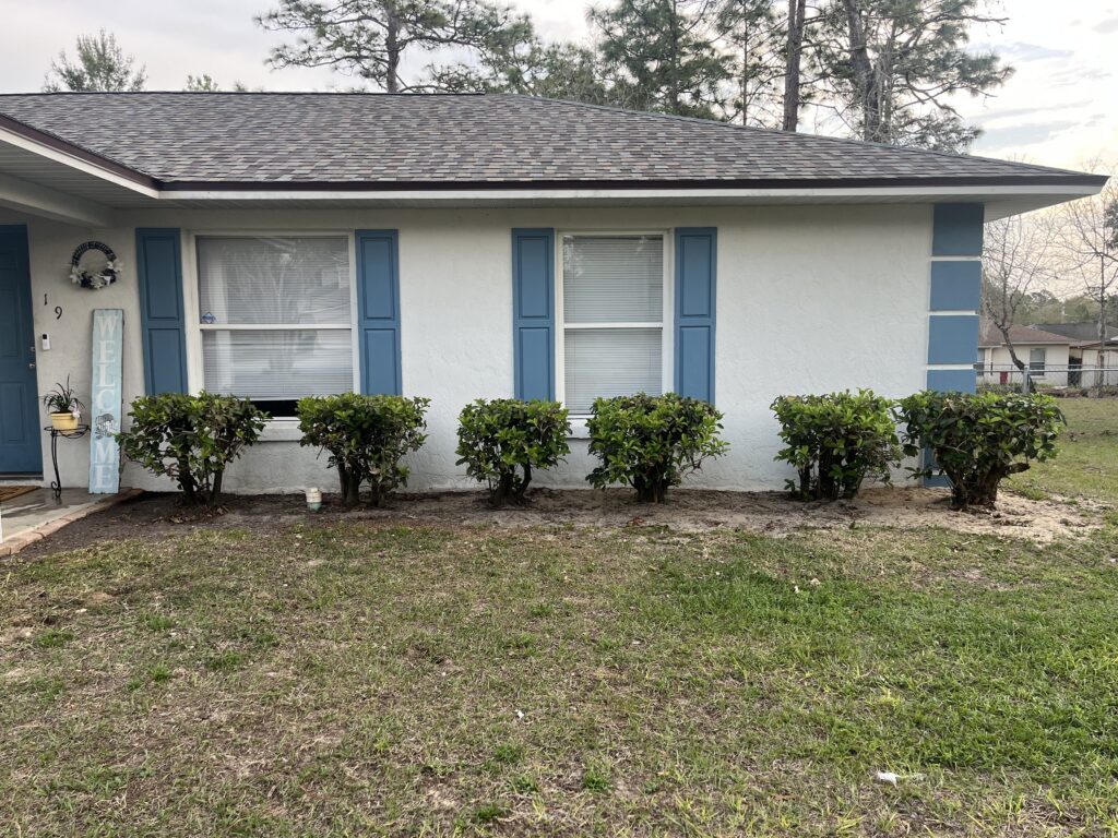 Home front with row of shaped foundation hedges and blue shutters in Ocala FL