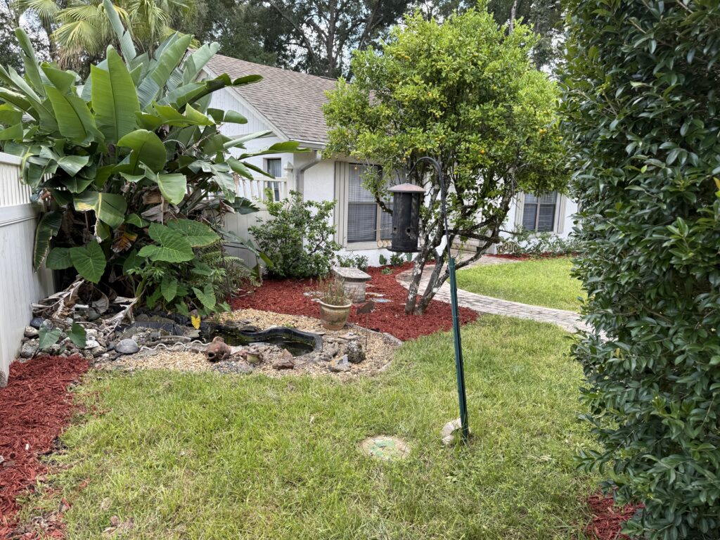 Island flower bed with palm, red mulch, and plantings near concrete walk in Ocala FL