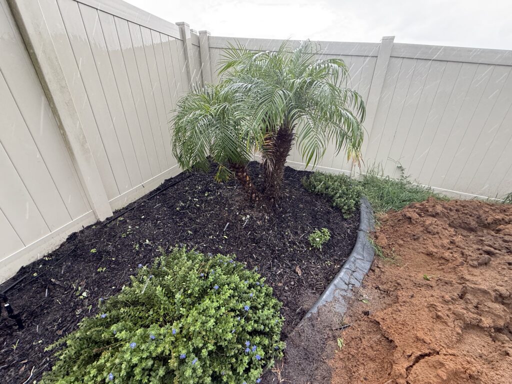 Privacy fence corner with small palm and fresh dark mulch bed in Ocala FL