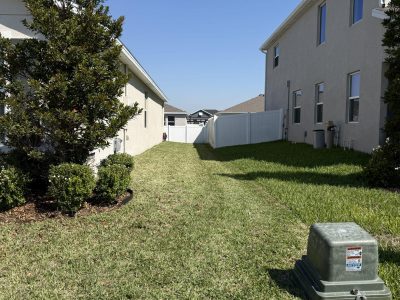 Side yard with trimmed round shrub, white vinyl fence, and green lawn in Ocala FL