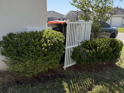 Sphere-trimmed shrubs along driveway trash storage area in Ocala FL