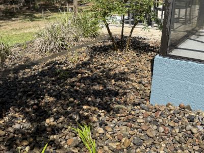 Rock bed detail with ornamental grasses near pool in Ocala FL